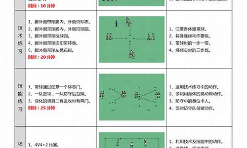 足球体育教案模板范文_足球教案全集最新