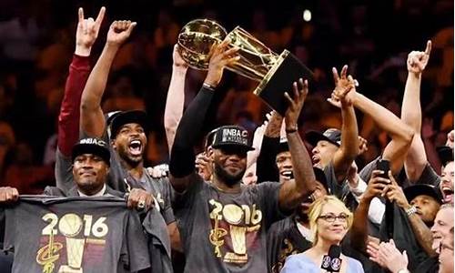 2013年nba总决赛七场数据_2013年nba总决赛第七场